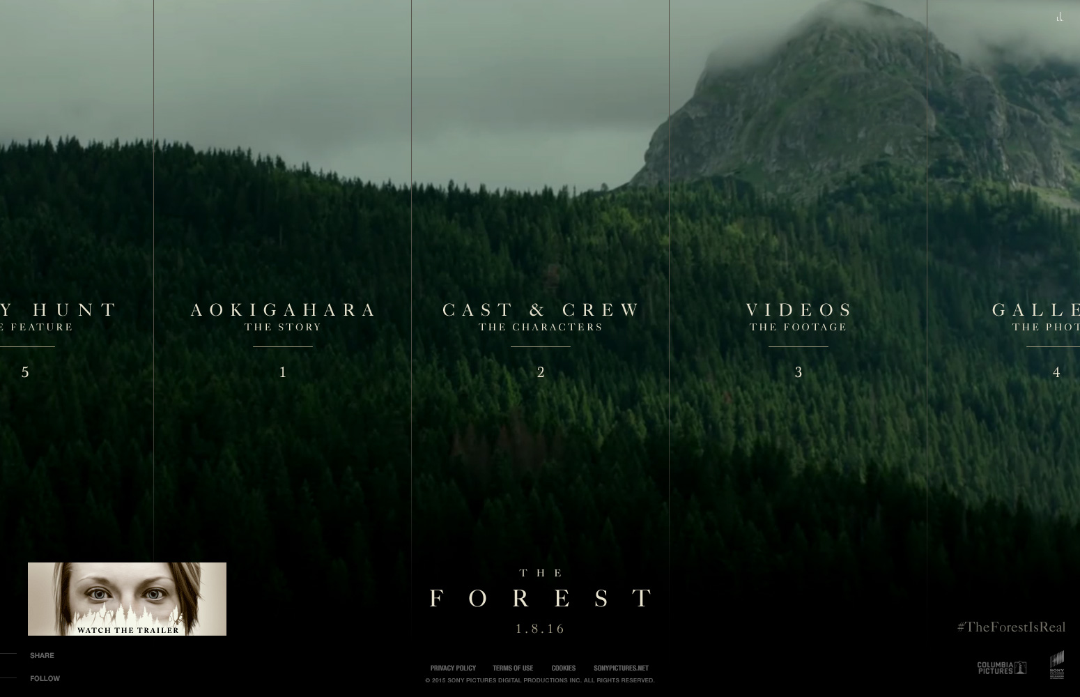 Sony Pictures - The Forest